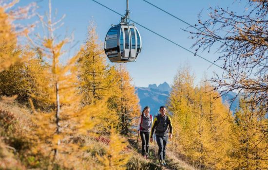 Lucky Autumn Lucky Autumn